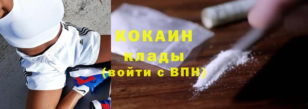 спайс Михайлов