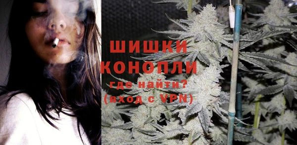 сатива Медногорск