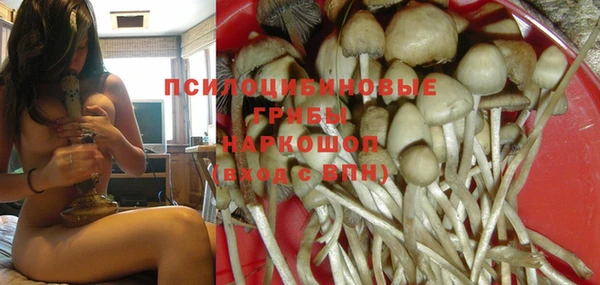 трава Мегион