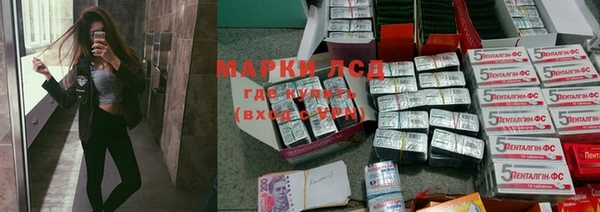 стафф Нестеровская