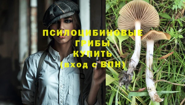 сатива Медногорск